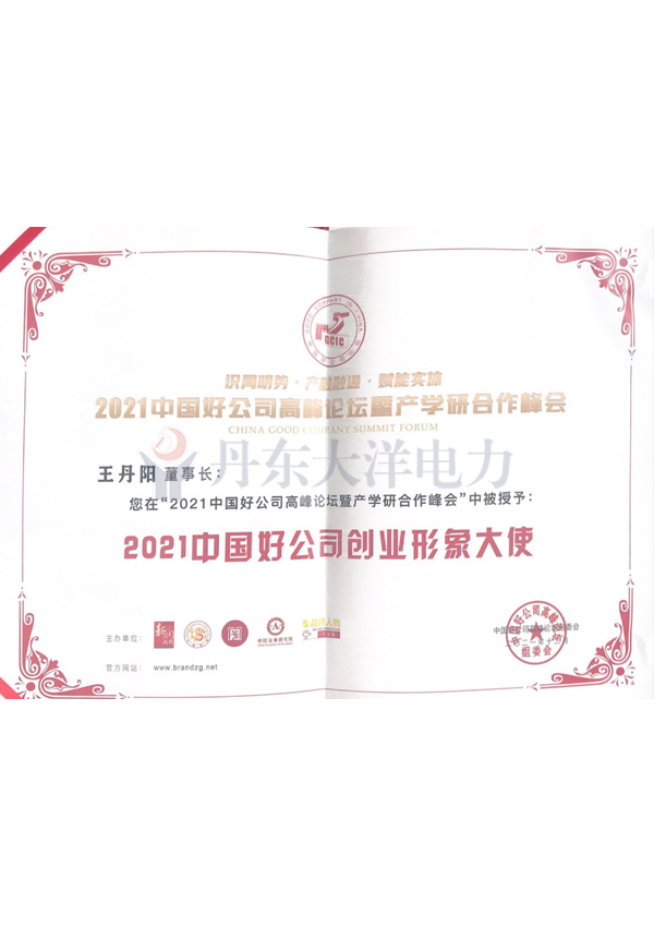 王丹阳-2021中国好公司创业形象大使